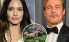 Secret Schemes and Betrayal: The Truth Behind Brad Pitt and Angelina Jolie's Winery Feud
